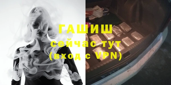 молекула духа Ленинск