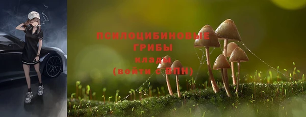 PSILOCYBIN Лабытнанги