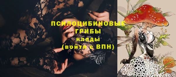 прущие грибы Ленинск-Кузнецкий