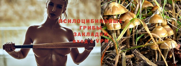 скорость Майский