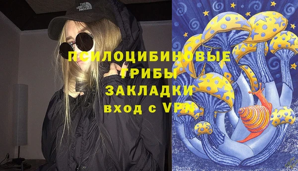 a pvp Магас