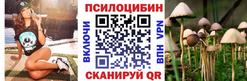 Галлюциногенные грибы Psilocybine cubensis  Мариинский Посад 